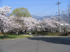 松本の桜の名所