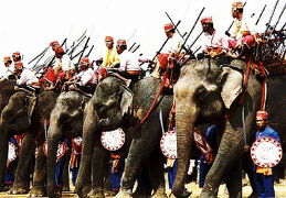 Thailand  古き良きおもひで　(4/15)  なぜかドイツ人会ツアーでスリンの象祭りへ