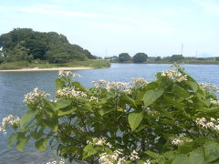 愛知県はさんざんいってますが・・・