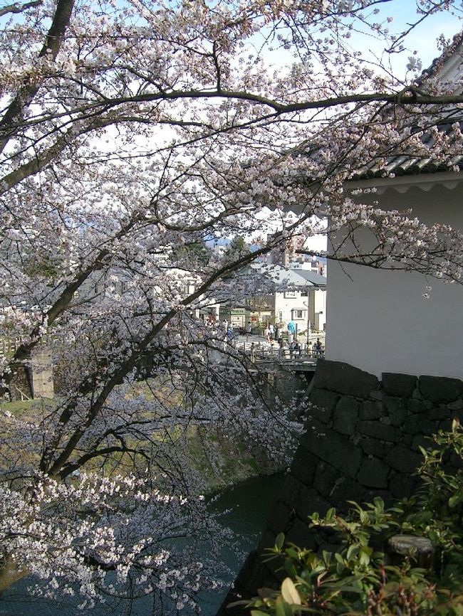 ようやく桜前線も山形へ♪<br /><br />週末、山形市内で一番の桜の名所「霞城公園」へ行ってきました。<br /><br />ここ霞城公園は、山形城跡を公園としたもので、山形駅から徒歩５〜１０分とアクセス抜群の街中心部に位置します。<br />お堀沿いにたくさんの桜の木が立ち並び、堀・石垣・城門と絶妙のコントラスト！<br /><br />まだ八分咲き程度でしたが、とっても天気に恵まれた１日で、たくさんの人で賑わっていました。