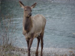 200005BritishColumbiaCanada