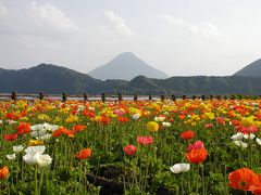 Kagoshima@2006?　薩摩富士とお花めぐり