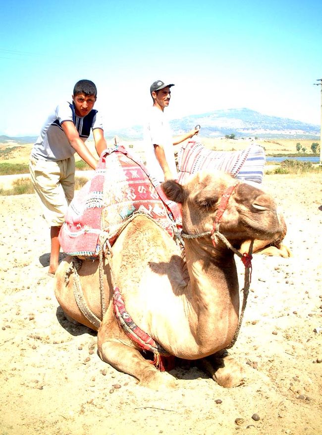 スペイン南端の港町アルヘシラスから、<br />フェリーでモロッコにわたる１日ツアーに参加しました。<br />詳細→http://safaribook.seesaa.net/category/1291493.html<br />