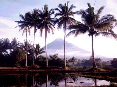 ピナツボ火山とマヨン火山（比国）