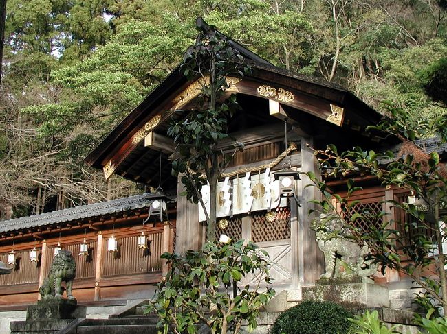 昨日のお花見に続き、枚岡神社に桜を見に出掛けました。<br />東大阪の枚岡に越して来て２年になりますが、まだ出掛けた事がないと言う無精なこま・・・<br /><br />行ってみてびっくり。<br />こんなに広くて立派な所だとは思っていませんでした。<br />枚岡公園は、梅林で有名な公園なので、広い事は感覚的に判っていましたが、、、(^^；ゞ