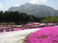 秩父路の美しい風景をもとめてその?芝桜の丘ハイキング