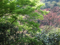 新緑の京都ひとり旅（２）高雄から洛西へ
