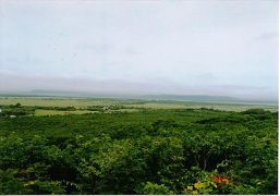 釧路～春国岱～納沙布岬(01/8/13)