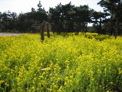 旅回想　（１）