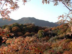 画家爺ぃさんの日本紀行～北山植物公園篇～