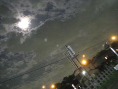 月夜の叢雲に誘われて