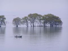 ぐるっと琵琶湖一周、4泊5日―その１：湖北、奥琵琶湖の自然に親しむ