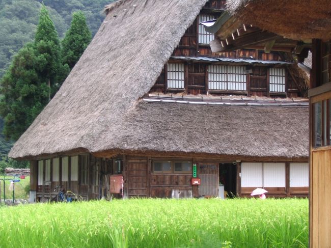 わたしのおばあちゃんちは、富山にあります。<br />自然がいっぱいの生命を感じるおばあちゃんち。<br />のち、五箇山と白川郷をめぐってきました。<br />