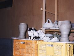 陶芸家の友人を訪ねて。