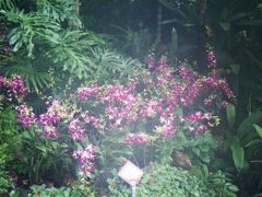 リッツカールトン！