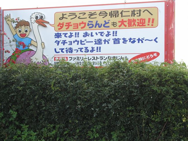 今住んでいる場所から自転車で30分ぐらいの場所に魅惑のスポットがあります。 その名も『ダチョウらんど』。 なんとも怪しい雰囲気なんですが、ちょっと入りたくもなるような不思議なスポット、それが『ダチョウらんど』です。 こりゃ行かないわけにはいかないよね! レッツ・ダチョウパラダイス!!