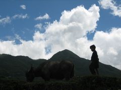 GW北ベトナム旅行−サパ、ラオチャイ村、タバーン村トレッキング編