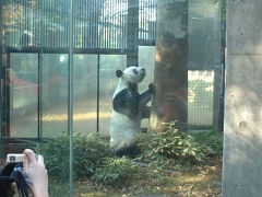 車事故⇒上野動物園