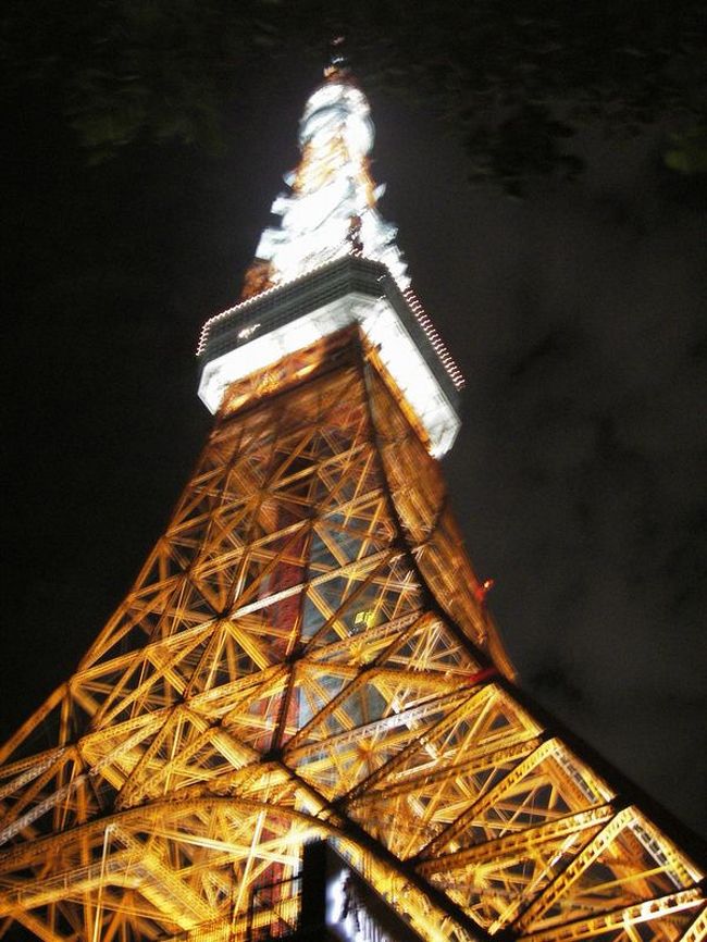 彼が日本にいる間に東京タワーにも行きました！<br />関東地方に住んでいながら、東京タワーに行ったのは（多分）初めてでした♪景色を眺めるだけじゃなく色々遊べて楽しめました☆★