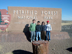 Petrified Forest & Canyon de Chelly