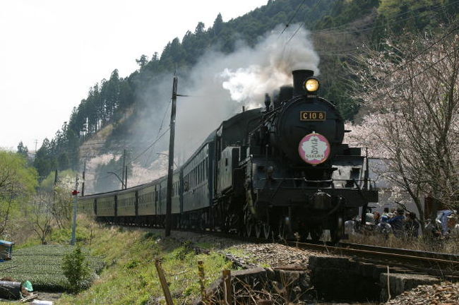 大井川鉄道の電車と家山の桜トンネルなど、桜を絡めた写真を撮ろうと大井川鉄道に出かけました。大井川鉄道は、大井川本線とあぷとラインに分かれていてJR金谷駅(金谷町(2005年島田市と合併して島田市に。))から井川駅(静岡市)まで65?を大井川沿いに走っています。★大井川鉄道HPhttp://www.oigawa-railway.co.jp/