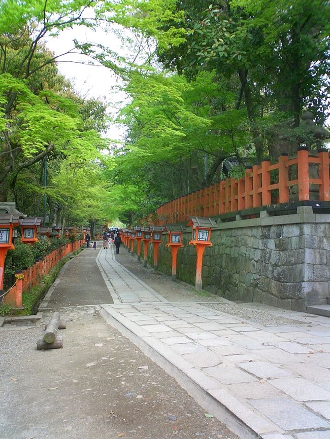 八坂神社、円山公園を散歩しました。<br />円山公園の有名な「枝垂れ桜」はもう「葉桜」になっていました。残念！！<br />とってもいい天気で４月でも半袖でも充分な位のあたたかさでした。新緑の中の散歩はさわやかで心地良かったです♪