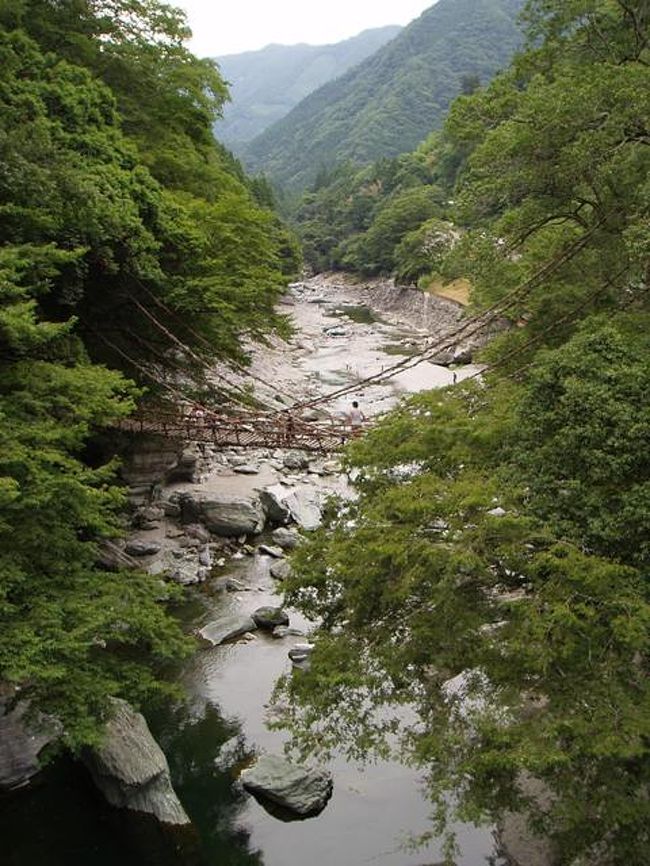 大ボケ 小ボケ かずら橋 祖谷渓 かずら橋 大歩危 徳島県 の旅行記 ブログ By おさかなさん フォートラベル