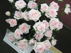国際バラとガーデニングショウに行ってきました！その１：プロローグ＆切り花・鉢植え・盆栽
