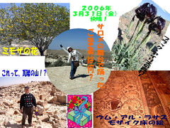 ヨルダンのお花見　（４）　最終回　ウム・アル・ラサス（2004年登録の最新世界遺産！）＆ヘロデ大王城砦遺跡