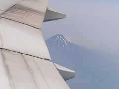 飛行機から見られる冨士山その?