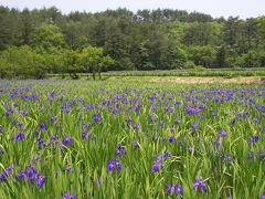 キャンプで世界遺産登録候補石見銀山へ・その１キャンプ編