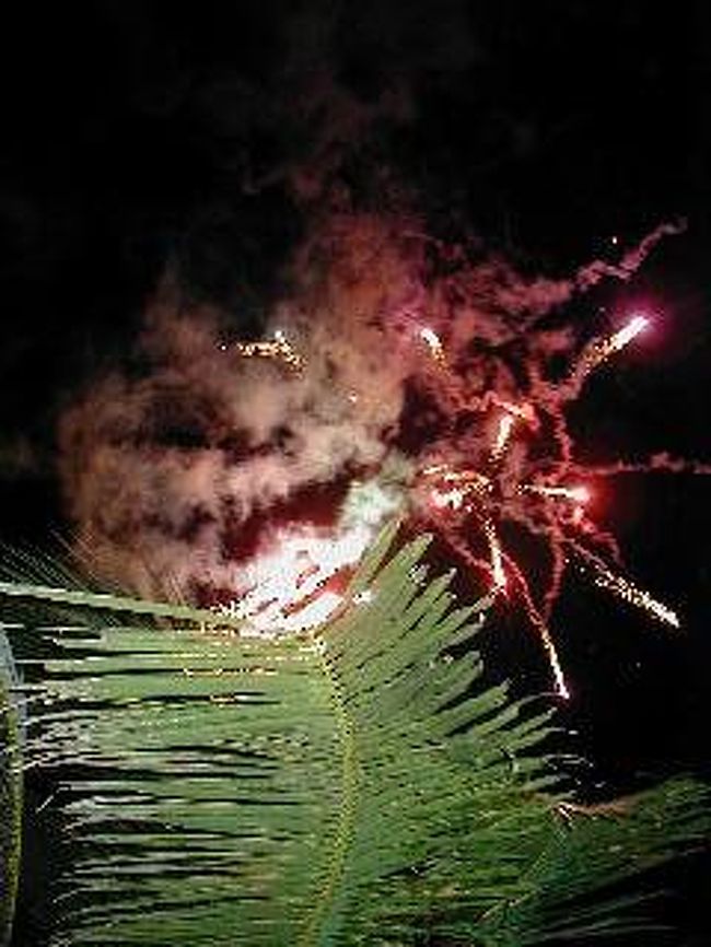 ２００１年１２月３１日(月)大晦日。<br />ボラカイ島２日目、後半。<br />２００１年もあとわずか！花火も上がります。<br />旅先で新年を迎えるっていうのは、やっぱりいいねぇ。<br /><br />