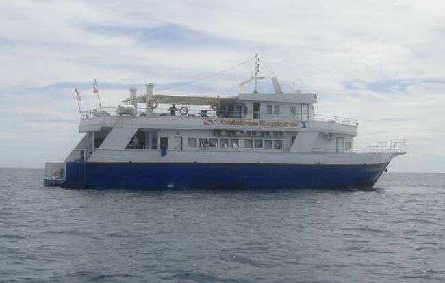 ２００５年に閉鎖されたボルネオのシパダン島。今回は効率よくシパダンを潜りたかったのでセルベスエクスプローラ号というダイブクルーズ船に乗りました。<br />今のところ私の中ではシパダンが世界一・・・の海だと思っています。<br /><br />http://nmyumyu.fc2web.com/