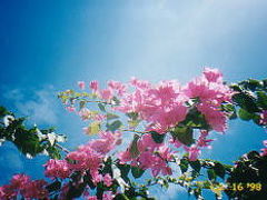 セブ島　思いっきり童心に返る