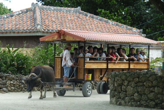 沖縄☆八重山の旅[4]竹富島～蝶々に誘われて～