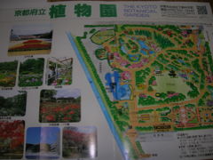 京都の植物園に来ました(*^_^*)