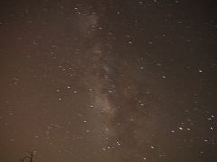 ツーソンの夜空　アリゾナ　ソノラ沙漠からの夜空