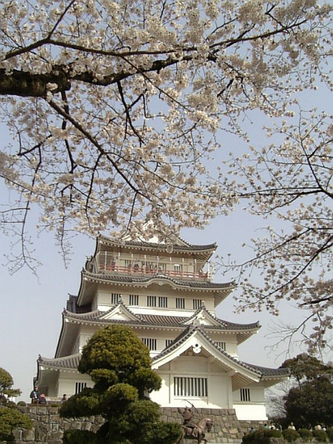 千葉城でのお花見 千葉市 千葉県 の旅行記 ブログ By オレンジミッフィーさん フォートラベル