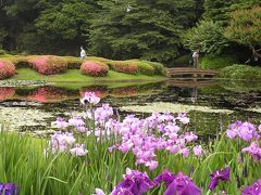 皇居・東御苑の二の丸庭園訪問・・・ふたたび花菖蒲を愛でる・・その?