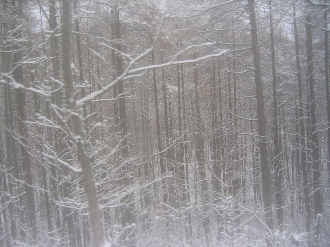 　元職場の後輩達と、東北地方に出かけました。<br />紅葉にはやや遅く、逆に雪の舞う中での旅を、体験してきました。<br />　主な行程　羽田空港〜中尊寺〜鳴子温泉〜鳴子峡〜<br />　　　松島・瑞巌寺・五大堂〜天童・山寺立石寺〜飯坂温泉〜<br />　　　猪苗代湖・五色沼〜蔵の町｢喜多方｣〜羽田空港<br />　<br />　写真は、五色沼から喜多方に向かう途中<br />　　　　　車窓からの景色<br /><br />　ホームページ作成を中断させた「ブログ」　一寸寄り道してみてください　ガラクタ収集品（マッチラベル・酒ラベル・切手等々）を整理掲載しています　アドレスは次の通りです<br />      http://blogs.yahoo.co.jp/sato7065