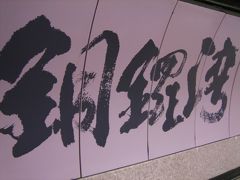 2006年06月、好きになっちゃった香港（その３：コーズウェイベイ）