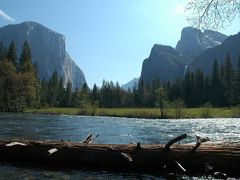 Yosemite NP