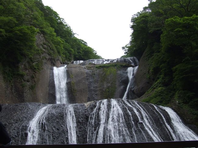 15年ぶりの袋田の滝でした。でも前回は、もっと滝の流れが凄かったですね。訪れた時期が多分違っていたかも...<br />又、見学の人も土曜日だと言うのにまばらでした。<br />でも、滝に行くときに渡る橋の下の光景は、同じでした。鮎の子供と稚魚たちがたくさん♪♪　よ〜く目を凝らして見てみてください。<br />そしてマイナスイオンを浴びた後今宵の宿、思い出浪漫館へ