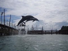 イルカに会いにバタム島へ！