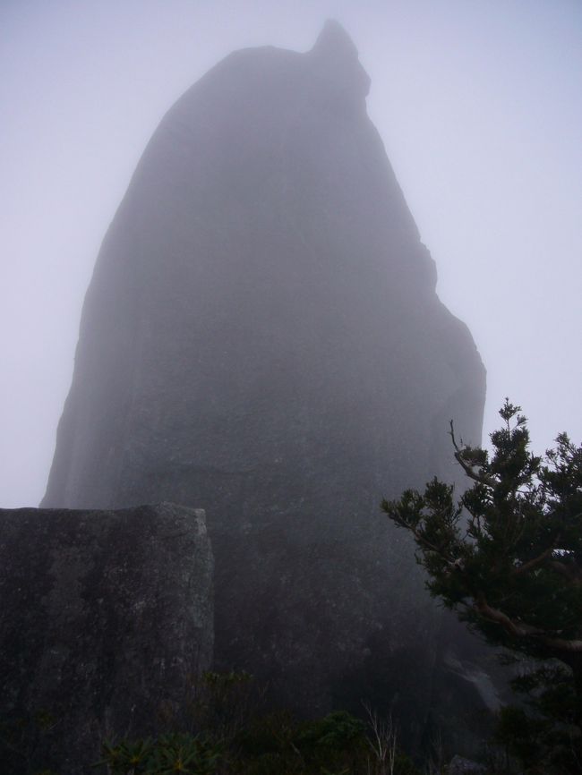 「自分は晴れオトコだから大丈夫です！」と、前日夕方「明日はかなり降るから止めましょうか」と電話で丁寧にアドバイスしてくれたエコツアーのスタッフさんの忠告も聞かず、強行登山を敢行した私の運命や如何に！？そこに待ち受けていたものは「ししがみ様」だった！？