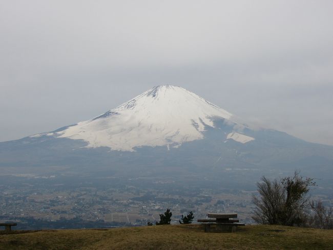 生まれ育った足柄平野から西を眺めると富士山が大きく見えますが<br />その富士山よりある意味目立って場所によっては富士山を覆い隠してしまう<br />大きく見えるけど実はそんなに高くはない、それが矢倉岳(870m)です。<br />以前からあの山の頂上から眺めれば富士山も足柄平野も<br />一望出来るなあと気になっていたけど結局今まで登ったことがなかったので<br />2005年3月20日、2005年初登山として矢倉岳に登ってきました。
