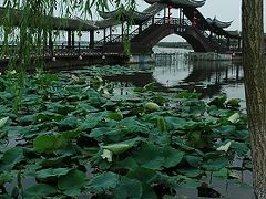 ★水郷の町≪錦溪≫へ（２） −古蓮池の周辺