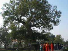 インド仏跡参拝と世界遺産の旅?【祇園精舎・カピラ城】