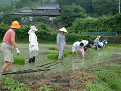 豊島　棚田くらぶ　０６年６月２５日