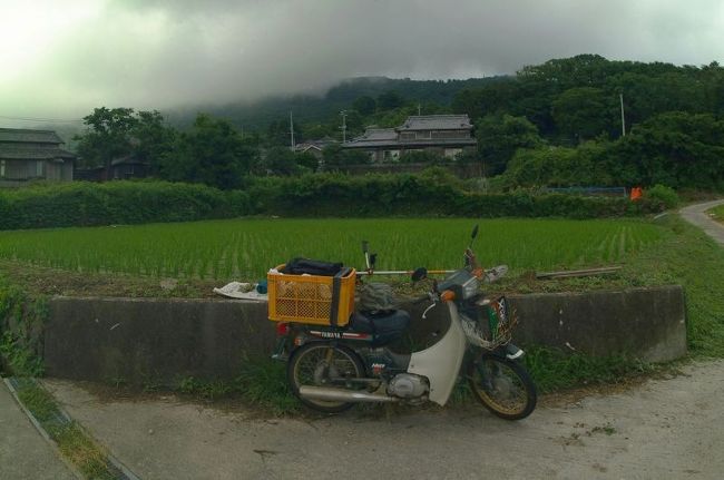 田植えから２週間後の棚田を見に行きました。<br />畦の草を刈りました。<br />台風は来なかったけど雨が降ったり止んだりでした。